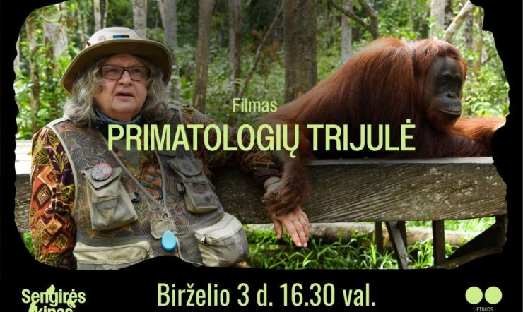 SENGIRĖS KINO  pavasario sezoną užbaigia   "PRIMATOLOGIŲ TRIJULĖ"