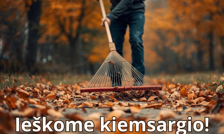 Biblioteka šiuo metu ieško kiemsargio