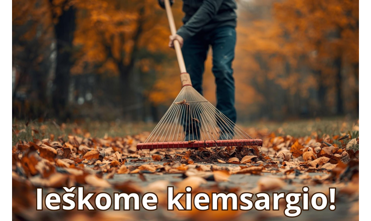 Biblioteka šiuo metu ieško kiemsargio