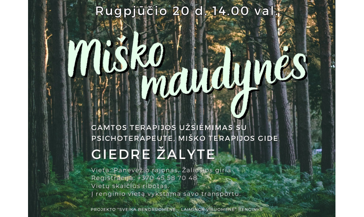 „Miško maudynės”. Gamtos terapijos užsiėmimas su  psichoterapeute, miško terapijos gide Giedre Žalyte