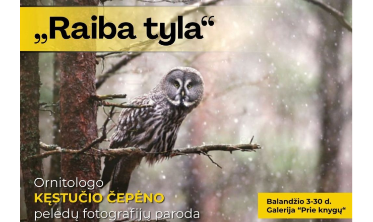 Fotografijų parodoje – gražuolės pelėdos