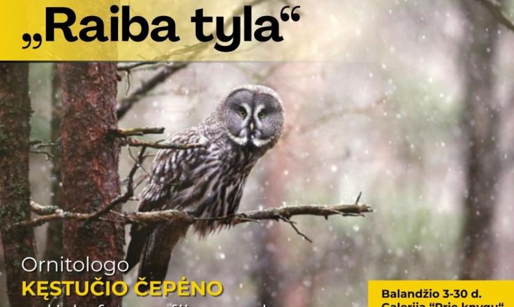 Fotografijų parodoje – gražuolės pelėdos