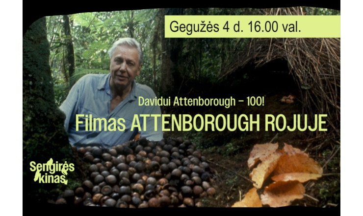  SENGIRĖS kinas Panevėžio rajono savivaldybės viešojoje bibliotekoje : Attenborough rojuje
