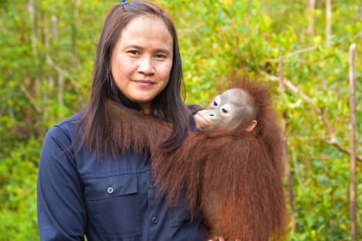 Kinas "Primatologių trijulė"