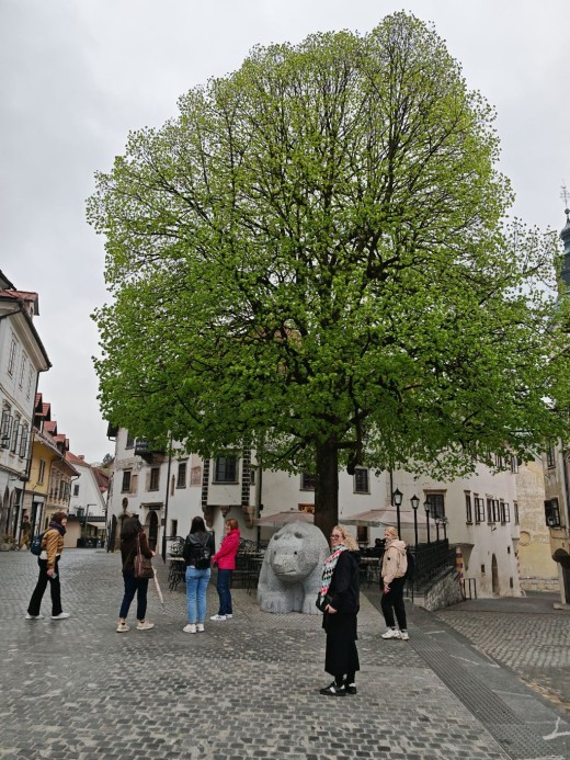 Škofja Loka senamiestis