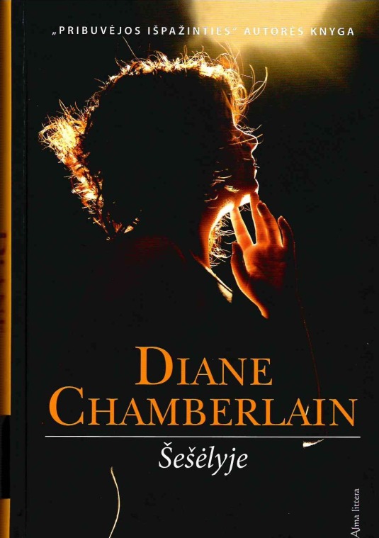Chamberlain, Diane. Šešėlyje